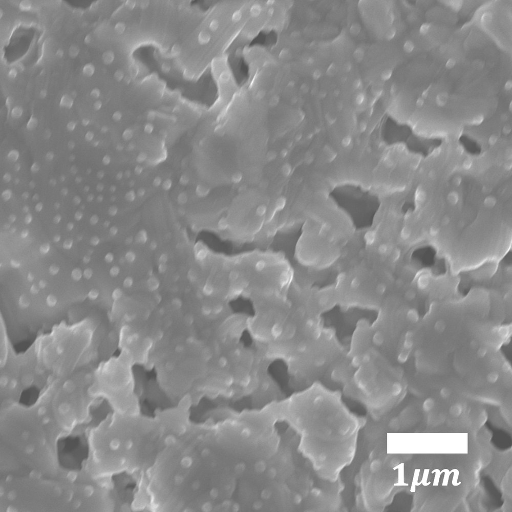 SEM micrograph showing exsolved Co-Fe alloy nanoparticles emerging from an LSCF perovskite electrode support.